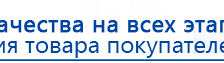 Одеяло лечебное многослойное ДЭНАС-ОЛМ-01 (140 см х 180 см) купить в Красноуральске, Одеяло и одежда ОЛМ купить в Красноуральске, Дэнас официальный сайт denasolm.ru